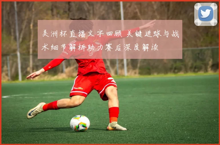 美洲杯直播文字回顾 关键进球与战术细节解析助力赛后深度解读