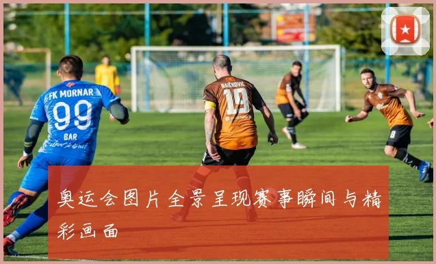 奥运会图片全景呈现赛事瞬间与精彩画面